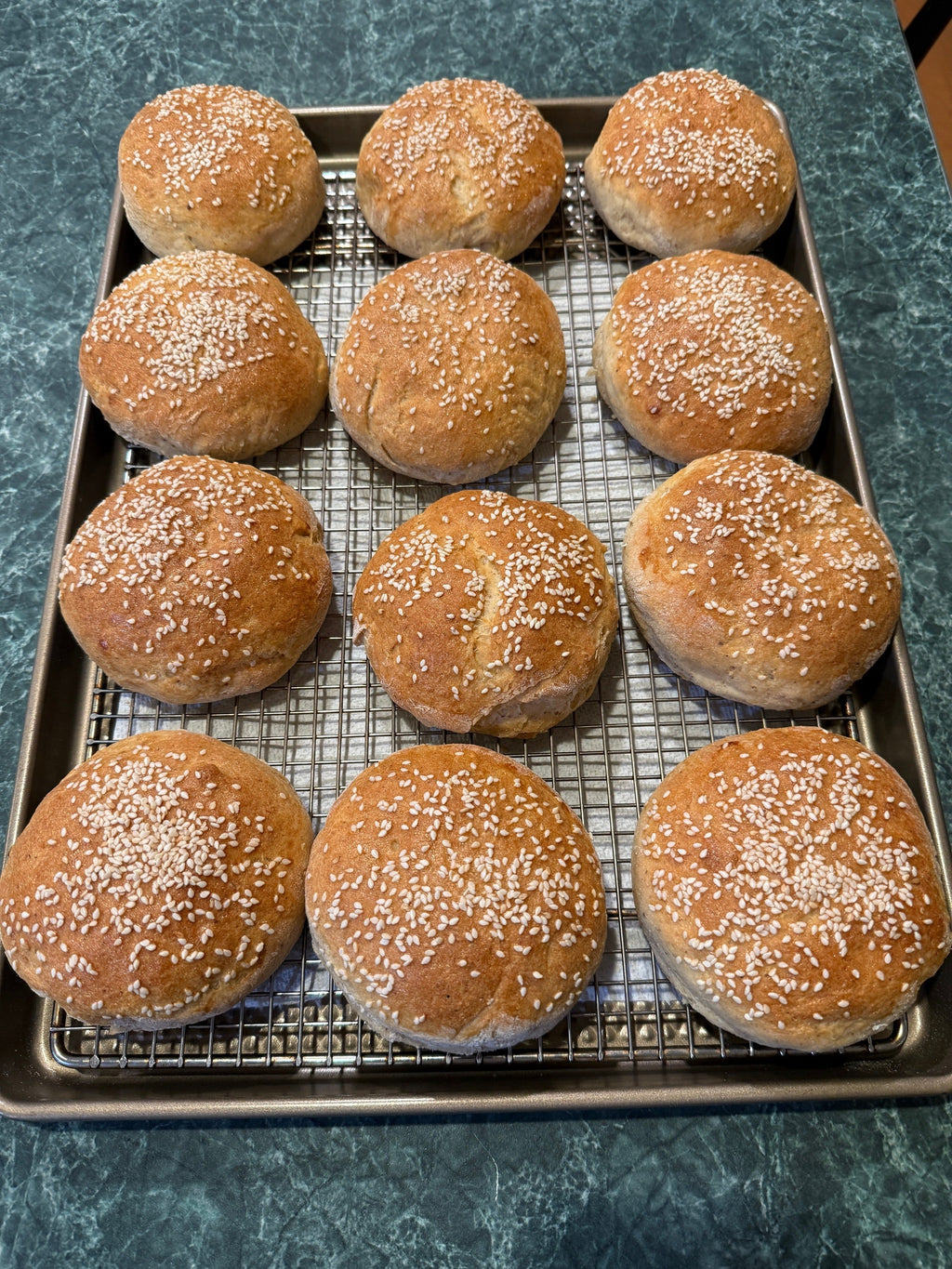 Brioche Buns - Plain and Cheesy (GF)