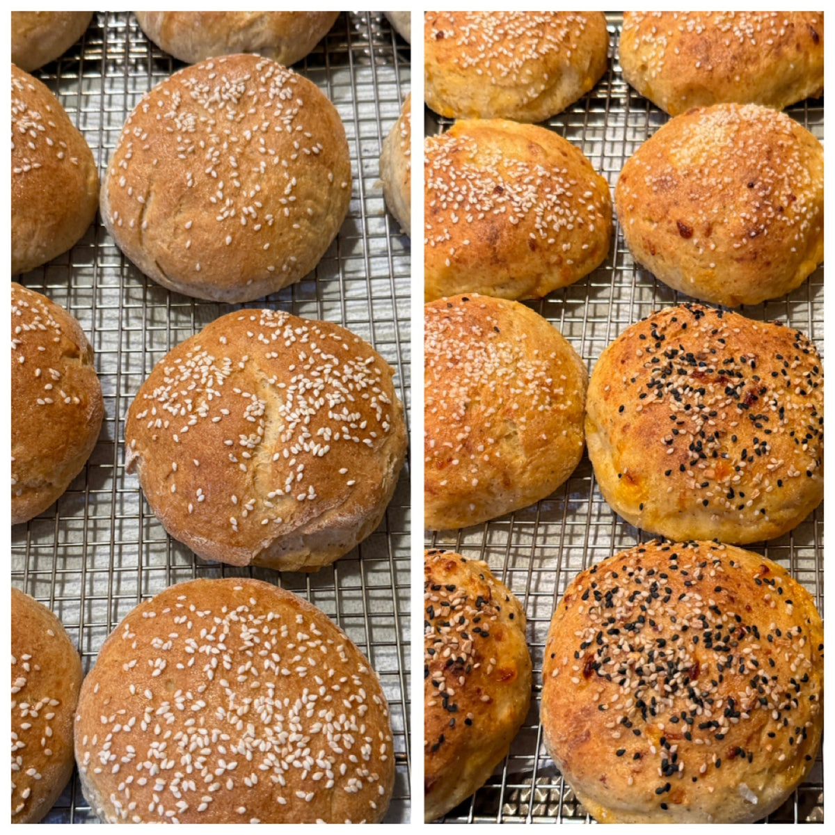 Brioche Buns - Plain and Cheesy (GF)