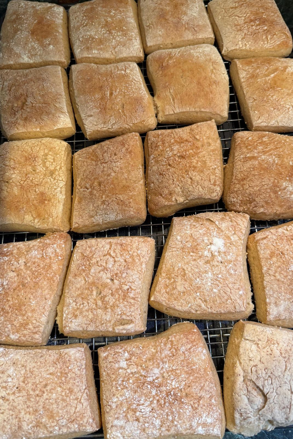 Ciabatta (GF,V)