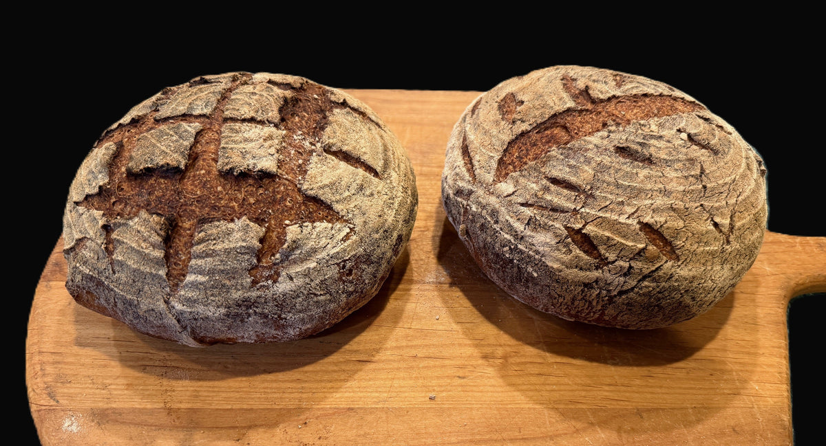 NY Rye Style Artisan Boule/Batard - Seeded (GF, V)