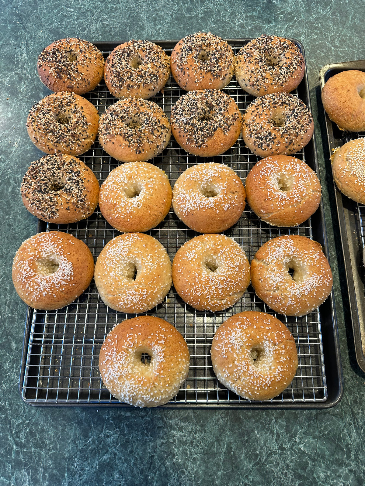 Bagels - Multiple Toppings (GF, V)