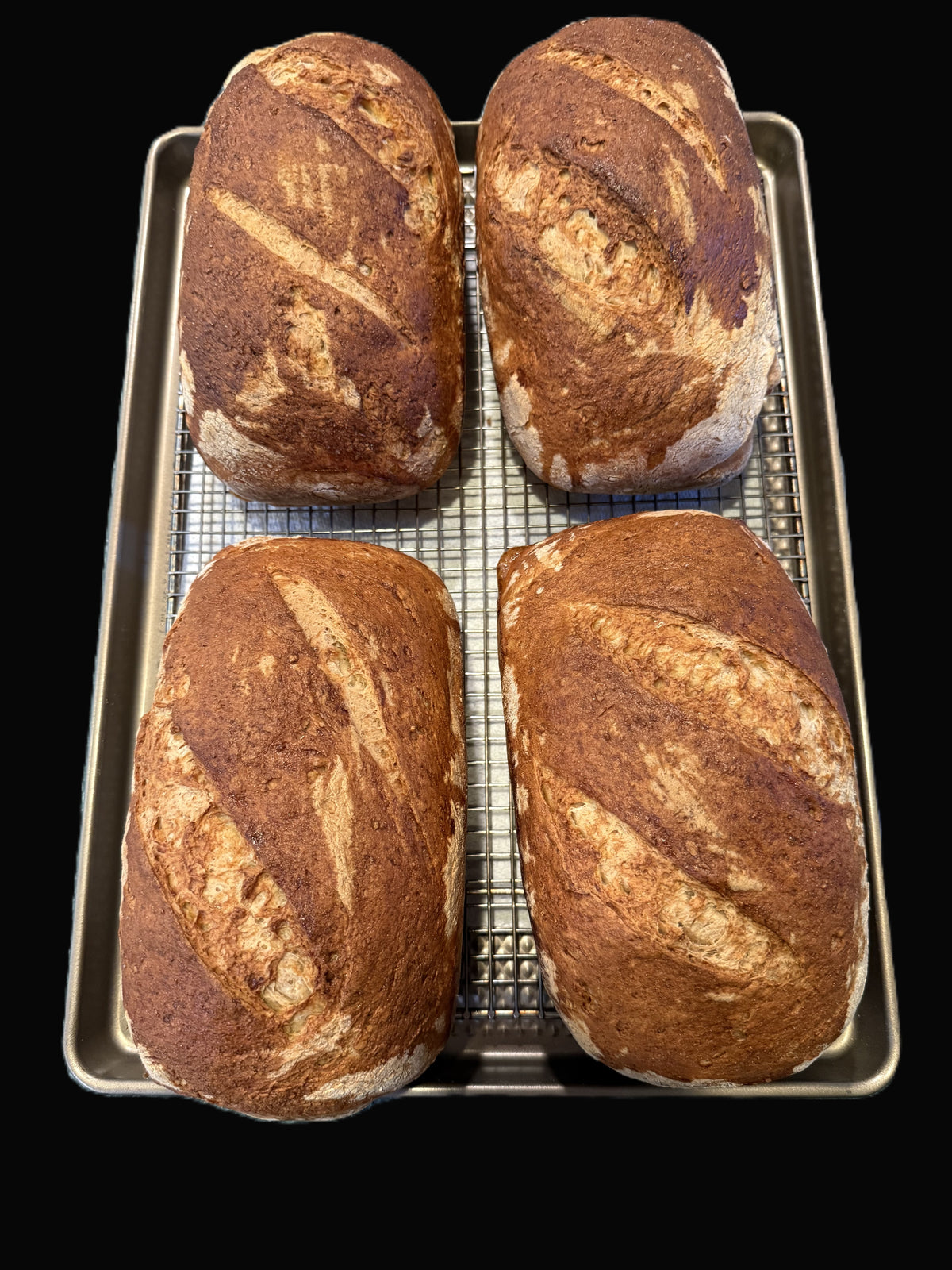 Sandwich Bread - Pullman Loaf (GF)