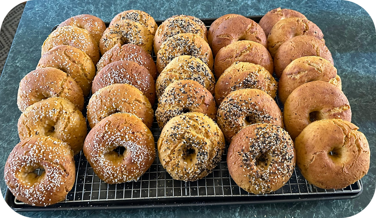 Bagels - Multiple Toppings (GF, V)